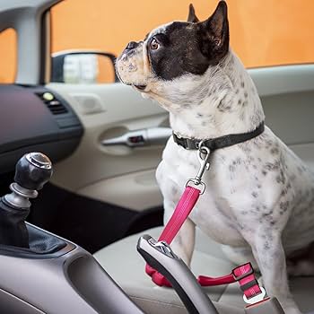 Dog Car Seat Belt Safety Protector Travel Pets